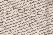 Shènttany, a Script Font by Integritype Studio (Thumbnail 13 of 15)