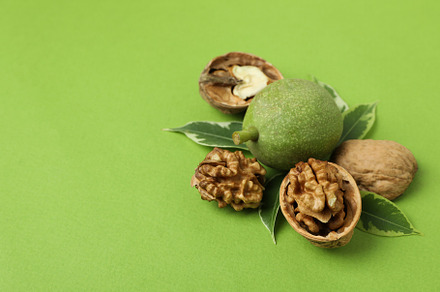 Walnuts with nut peel on green background, a Food & Drink Photo by AtlasStudio PRO