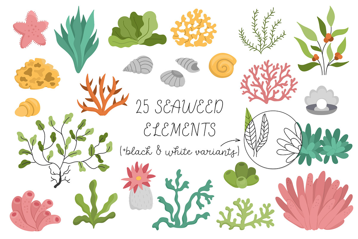 Under the sea clipart collection, an Animal Illustration by Lexi Claus (Photo 3 of 10)