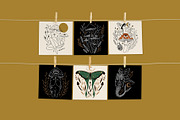 Mushroom Lady Bundle, an Illustration by Annie Konst (Thumbnail 5 of 19)