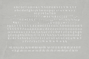 Nogifle Beauty Serif Font, a Serif Font by AuthenType (Thumbnail 13 of 14)