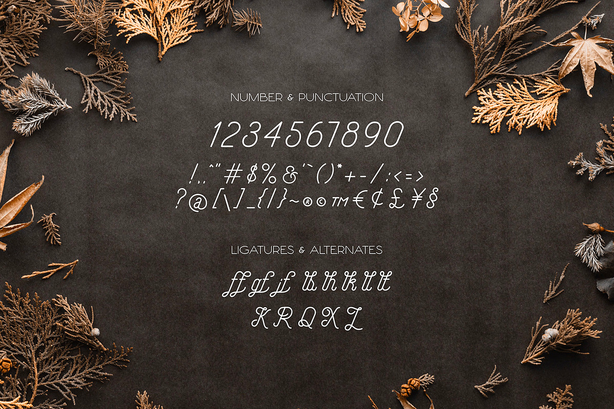 Hellofolks - Monoline Script Font, a Script Font by ikiiko (Photo 6 of 7)