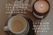 Vihaura - Decorative Serif Typeface, a Serif Font by Graphue (Thumbnail 4 of 9)