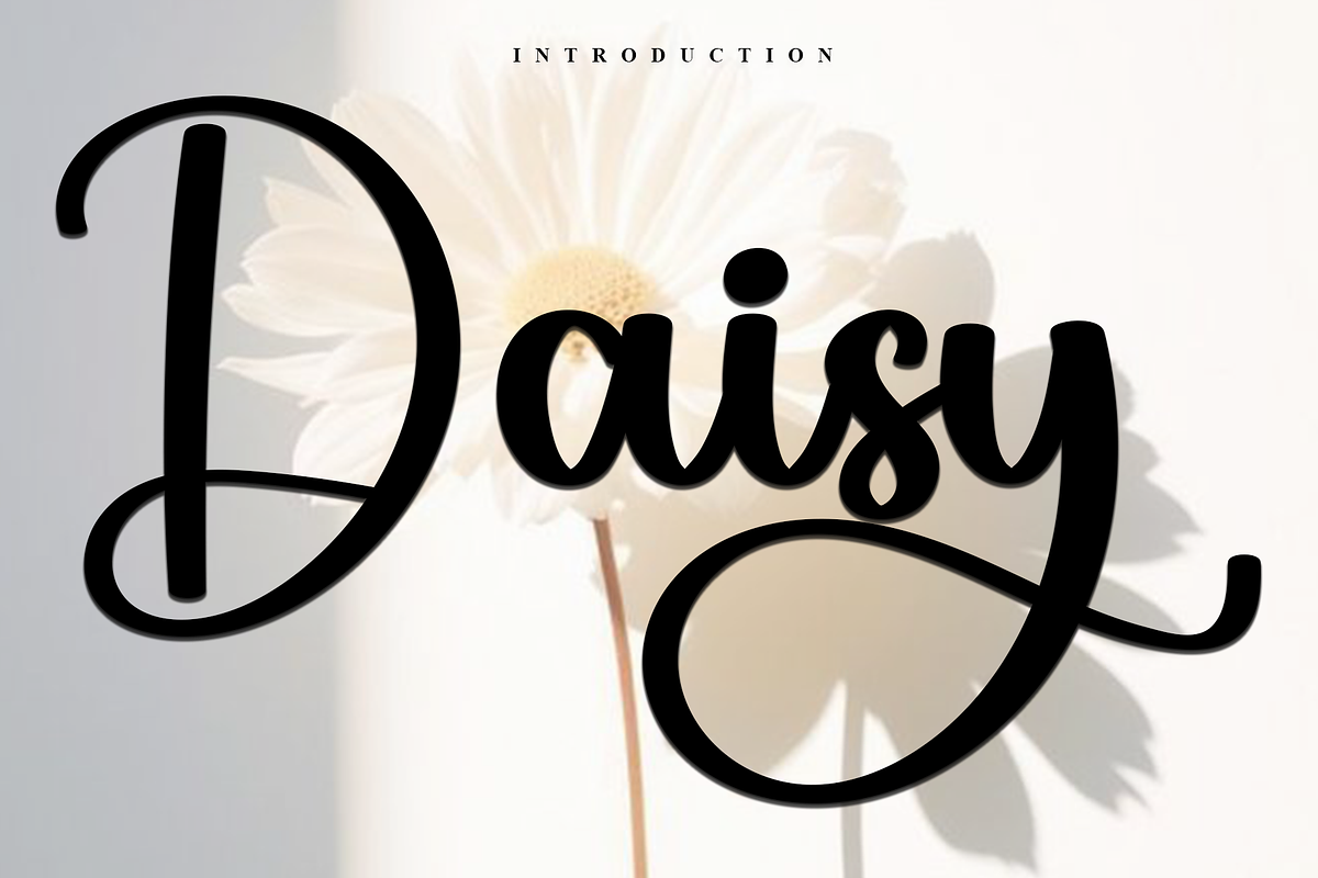 Daisy, a Handwritten Font by FreshTypeINK (Photo 1 of 8)