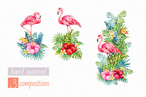 Tropics.Watercolor Collection