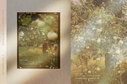 Afterlight - Light Overlays, a Texture Graphic by alonahaidash (Thumbnail 5 of 18)