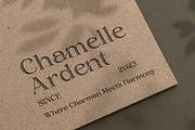 Luxury Ligature Font - Layer Valenas, a Serif Font by Say Studio (Thumbnail 5 of 10)