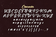 Lazyday - Bold Script Font, a Script Font by StringLabs (Thumbnail 12 of 13)