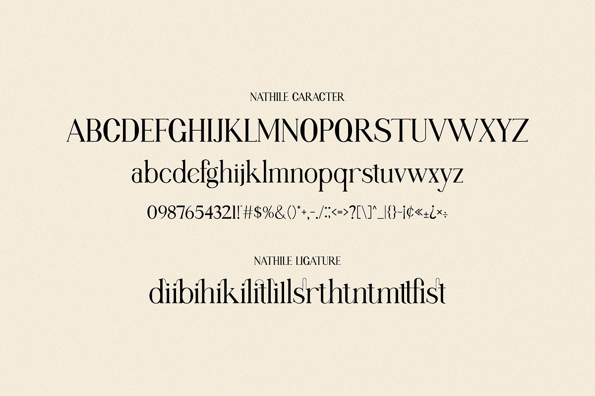 Nathile Ligature Serif Typeface, a Serif Font by Humaira_std (Photo 8 of 10)