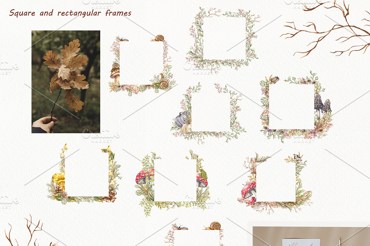 Watercolor Botanical Forest Set, an Animal Illustration by BarvArt (Photo 13 of 20)