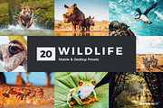 20 Wildlife Lightroom Presets & LUTs, a Preset Add-On by SparkleStock (Thumbnail 1 of 9)
