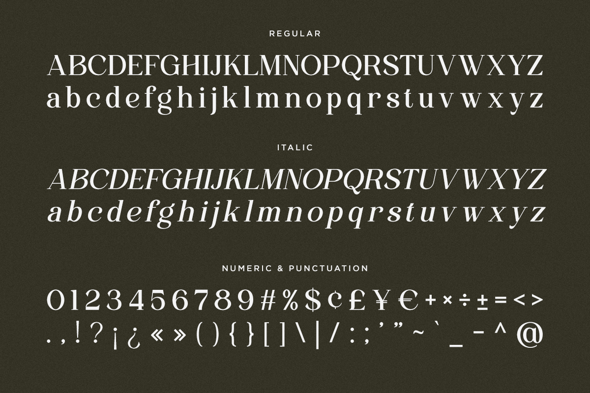 Wonder Society - Family Modern Serif, a Serif Font by Font Liner (Photo 10 of 10)