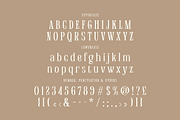 Frances Hickling, a Serif Font by Cruzine (Thumbnail 5 of 8)