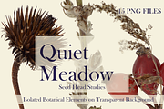 Quiet Meadow – Seed Head Studies, an Object Graphic by Aga Silva (Thumbnail 2 of 4)
