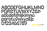 Stinger - 42 fonts, a Sans Serif Font by Zetafonts (Thumbnail 4 of 15)