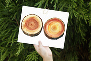 Watercolor Wood Slice Clipart, an Illustration by Libby Wishes (Thumbnail 2 of 5)