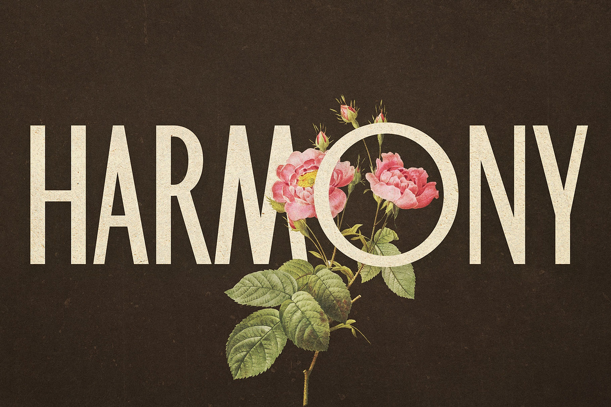 Catrose | Retro Sans, a Sans Serif Font by Almeera Std (Photo 6 of 8)