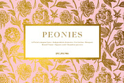 Peonies. Vintage illustrations, an Illustration by olga.korneeva (Thumbnail 1 of 9)