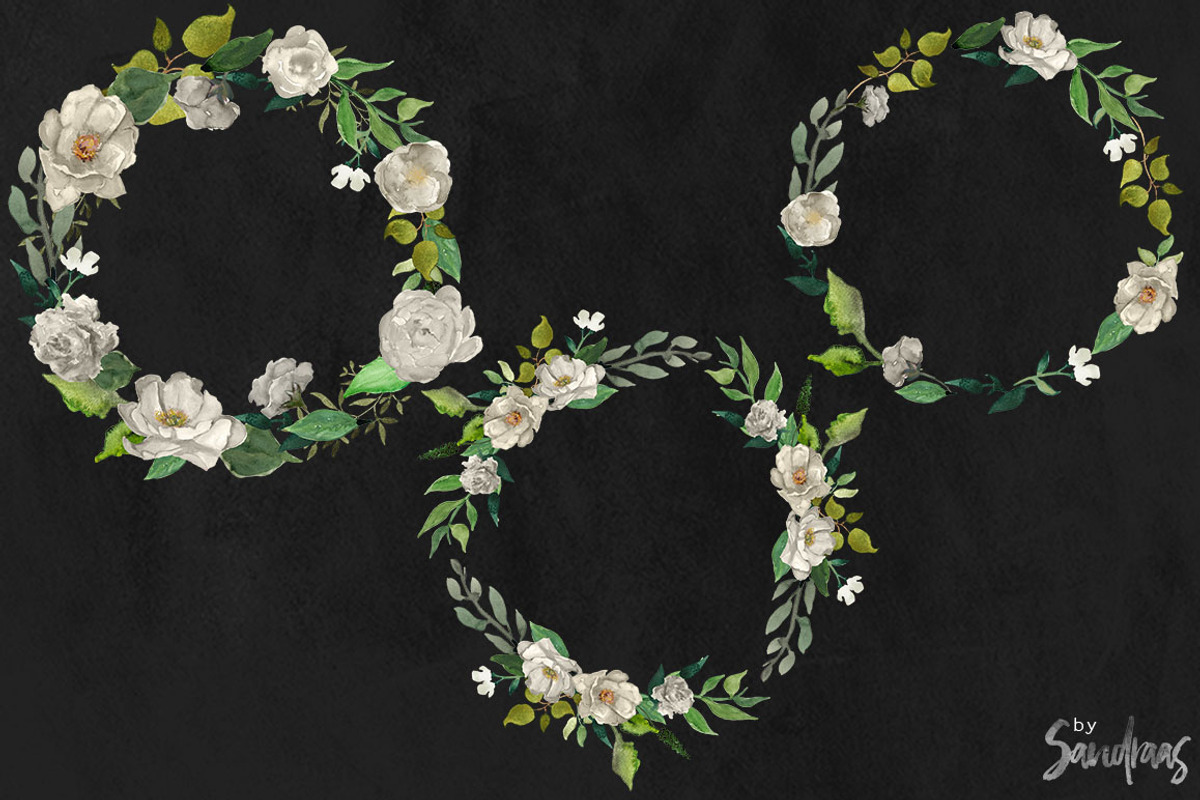 White flowers clip art, hand painted, an Illustration by SandraGraphicDesign (Photo 4 of 4)