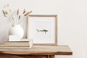 Watercolor Sharks. Ocean animals set, an Animal Illustration by Diana Askarova Art (Thumbnail 8 of 9)