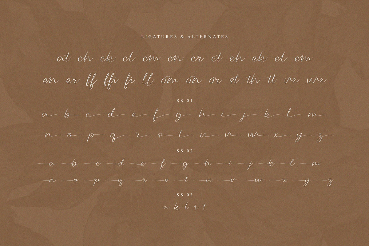 Mellonia – Script Font, a Script Font by Almeera Std (Photo 8 of 10)