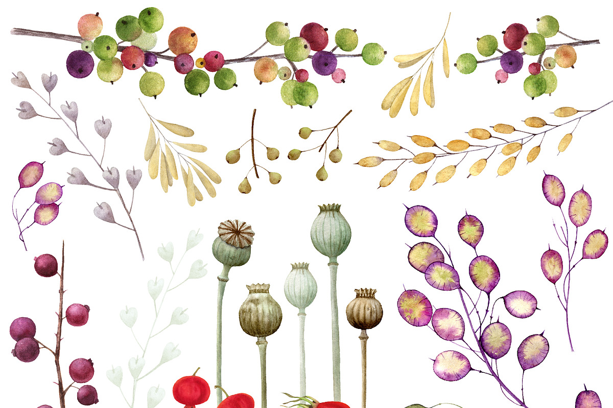 Autumn Herbarium Watercolor Clipart, a Background Graphic by Watercolor Clipart (Photo 2 of 4)