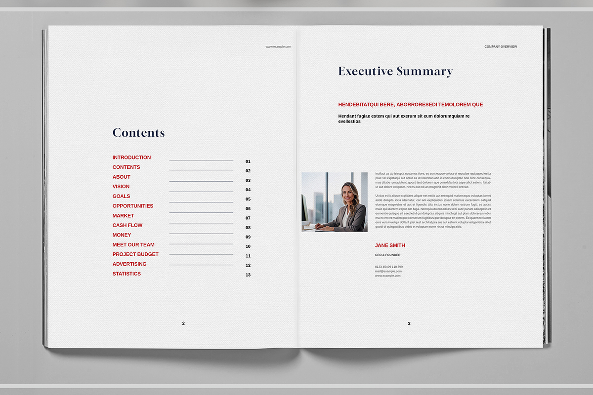 Bue and Red Business Brochure, a Brochure Template by Boris Cupac (Photo 2 of 7)