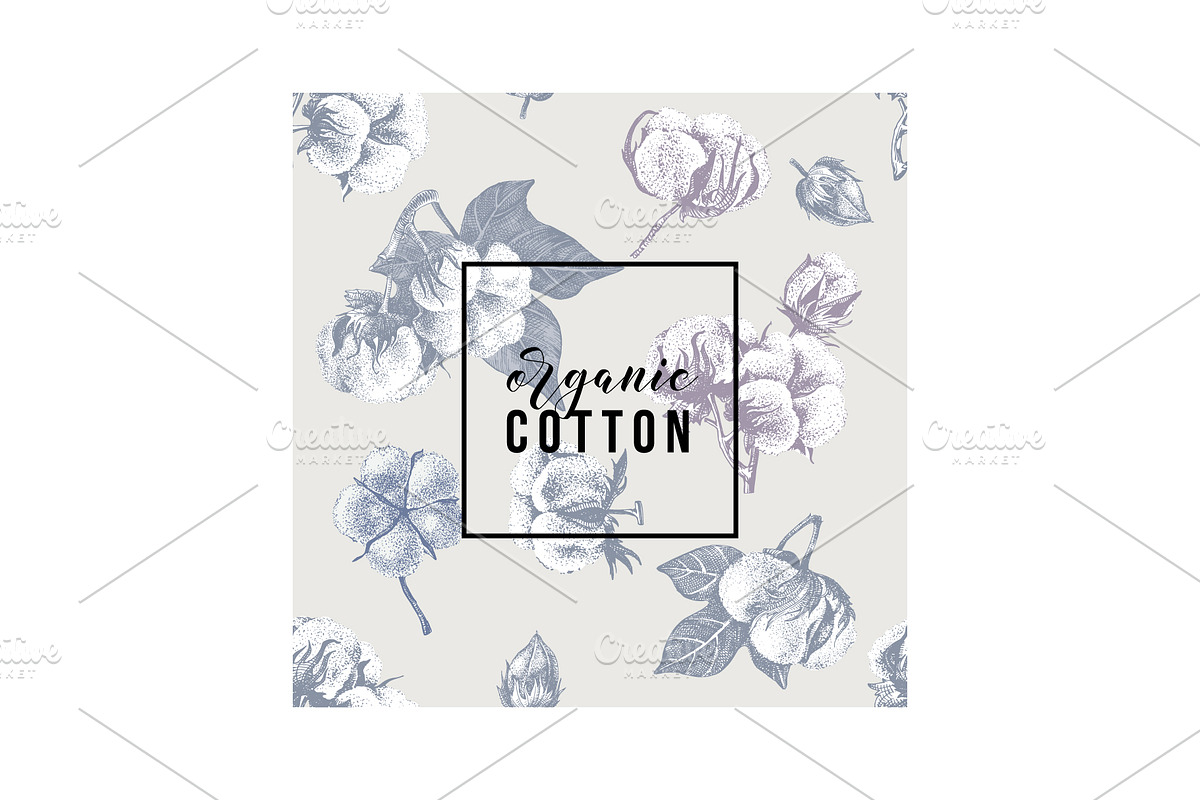 Cotton set, a Decorative Illustration by handsketched (Photo 11 of 15)