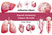 Kawaii Anatomy Clipart Bundle, an Education Illustration by InkyQueenArt (Thumbnail 1 of 5)