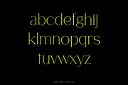 Pilated - Serif Typeface, a Serif Font by Craft Supply Co. (Thumbnail 5 of 8)