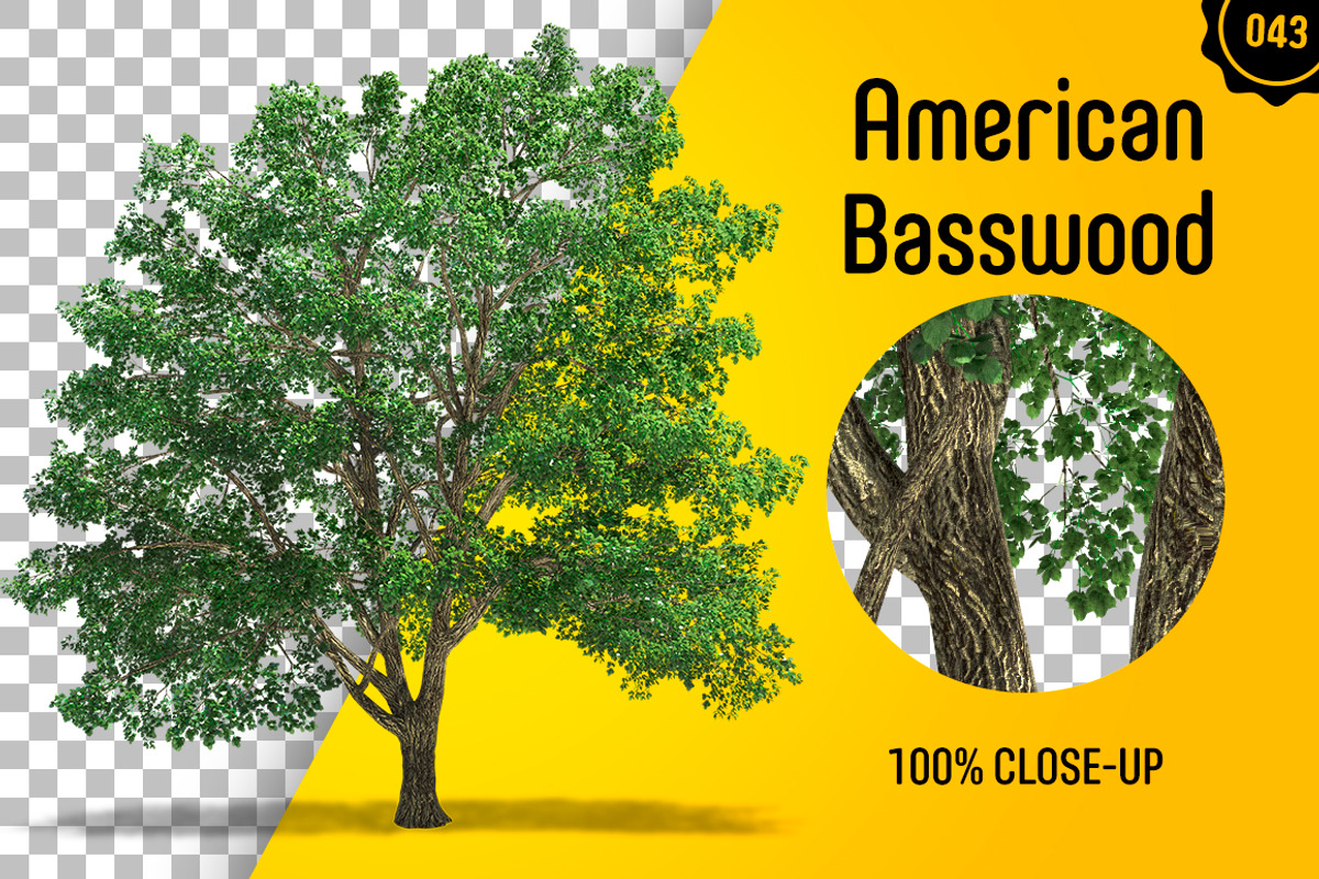 CUT OUT TREES - 60 PCS BUNDLE, a Packaging Mockup by 3DSTORE (Photo 44 of 63)