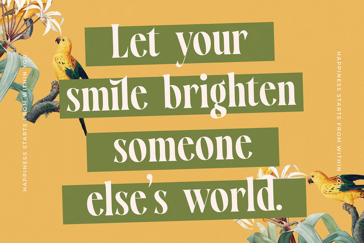Qastife Elegant Display Serif, a Serif Font by timelesstype.co (Photo 10 of 20)