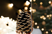 10 Christmas Mobile Lightroom Preset, a Preset Add-On by LucaTheme (Thumbnail 2 of 9)