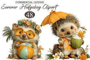 Whimsical Summer Hedgehog Clipart, a Seasonal Illustration by designcity5