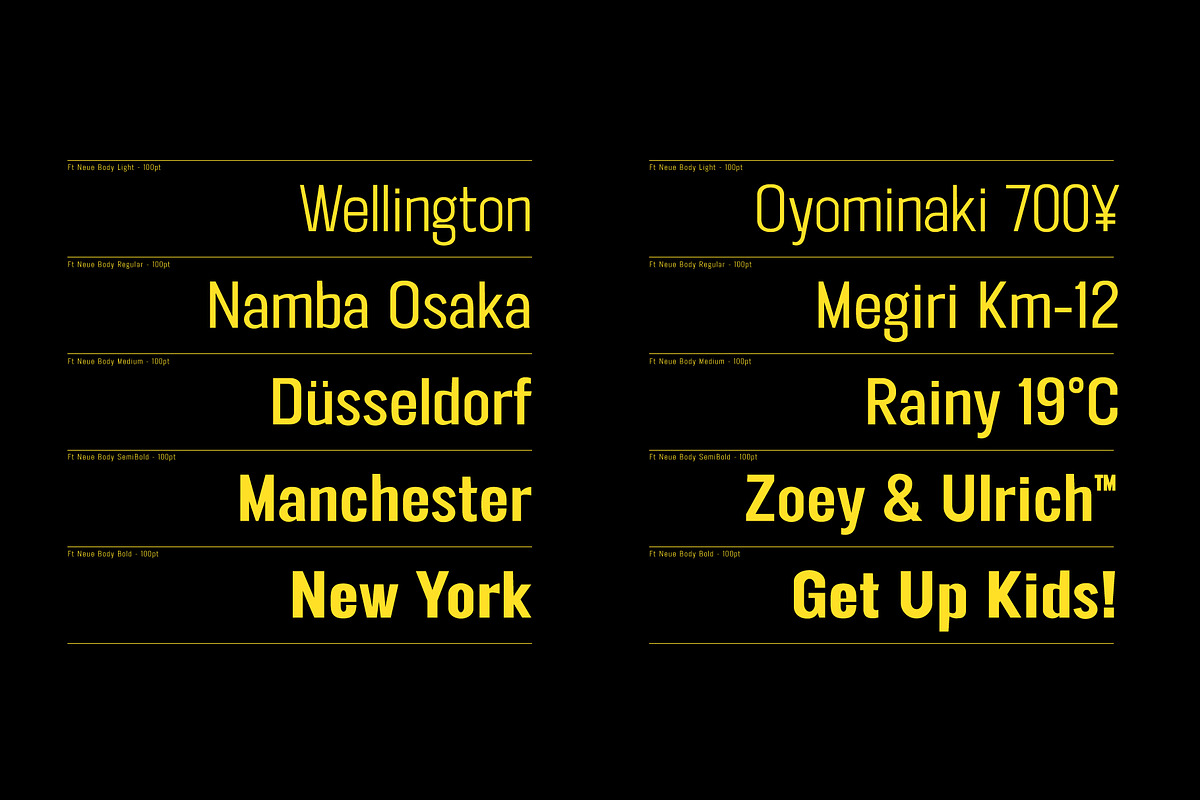 FT Neue Buddy - 5 Styles Sans Serif, a Sans Serif Font by fuzztype (Photo 4 of 15)