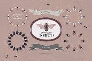 Hand Painted Insects Clipart, an Illustration by gamm (Thumbnail 4 of 9)