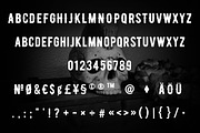 Wicked Tattoo Font Bundle, a Slab Serif Font by BAD TASTE (Thumbnail 16 of 18)