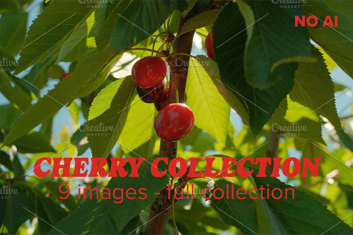 Cherry Photo Collection - NO AI, a Nature Photo by Merinda Designs (Photo 1 of 3)