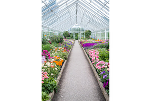 Vibrant flower pathway in botanical, a Nature Photo by Lermont51