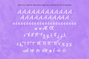 Little Princess, a Font by Laura Bolter Design (Thumbnail 3 of 5)