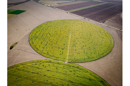 Sunflowers field aerial view., a Nature Photo by Maksym Zaitsev