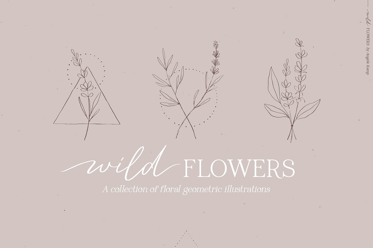 Wild flowers illustration clipart, an Illustration by Angele Kamp (Photo 1 of 15)