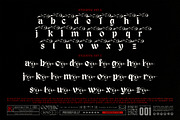 Dark Reborn Typeface, a Blackletter Font by alit design (Thumbnail 16 of 20)
