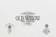 Le Petite Muse Vintage Ligature Font, a Serif Font by AndrewPixelType (Thumbnail 3 of 11)
