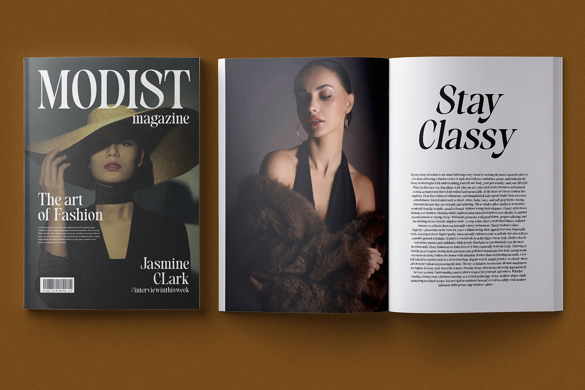 Blenisa Modern Beautiful Font, a Serif Font by RantautypeStudio (Photo 9 of 17)