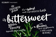 Takeaway -50% off!, a Script Font by Fenotype (Thumbnail 5 of 14)