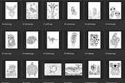 150 animals for adult coloring book, an Animal Illustration by Somjai King (Thumbnail 5 of 10)
