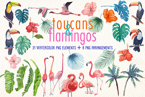 Toucans And Flamingos Watercolor Set