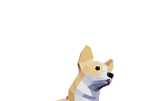 Low Poly Corgi Dog