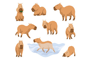 Capybaras. Cartoon cute animal, wild, an Animal Illustration by the8monkey